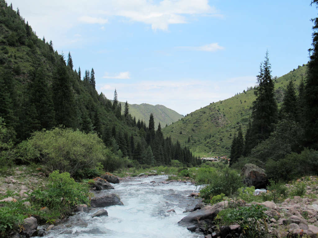 A powerful river flows between the trees and mountains in rural Kyrgyzstan. The hills are green and covered in trees