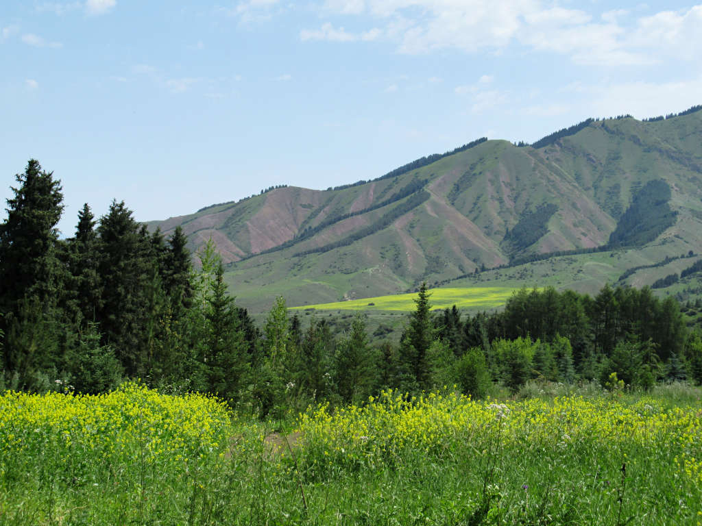 The best time to visit Kyrgyzstan is in July for weather and views like this! The green fields become steeper mountains under the cover of a light blue sky