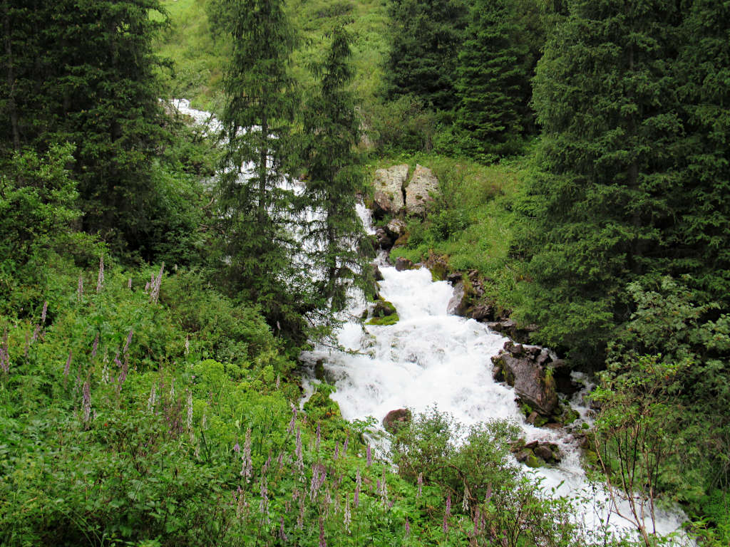 A powerful stream of water flowing between two grass banks surrounded by trees on the route to Kol Tor Lake