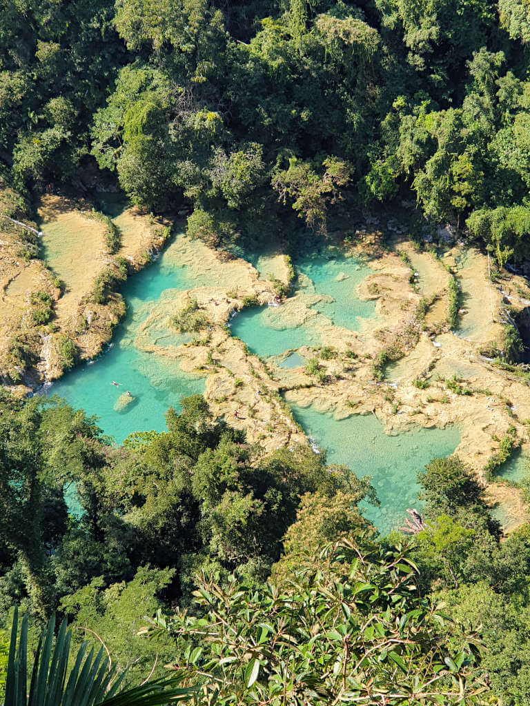 The brightly coloured pools of Semuc Champey from above surrounded by dense jungle