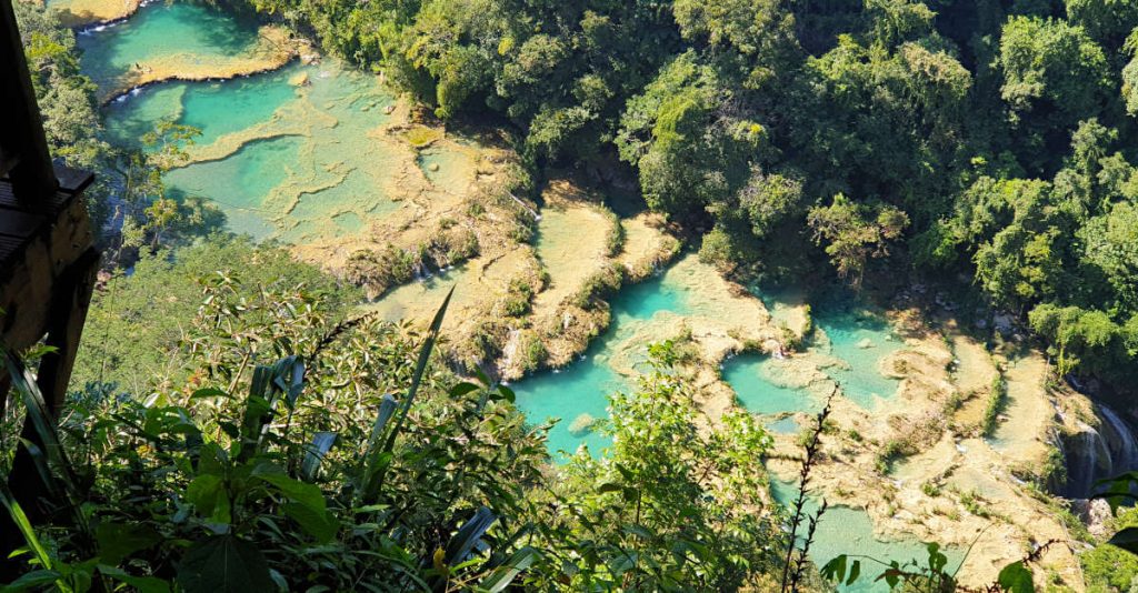 Turquoise pools with rocky edges surrounded by dense, lush green trees