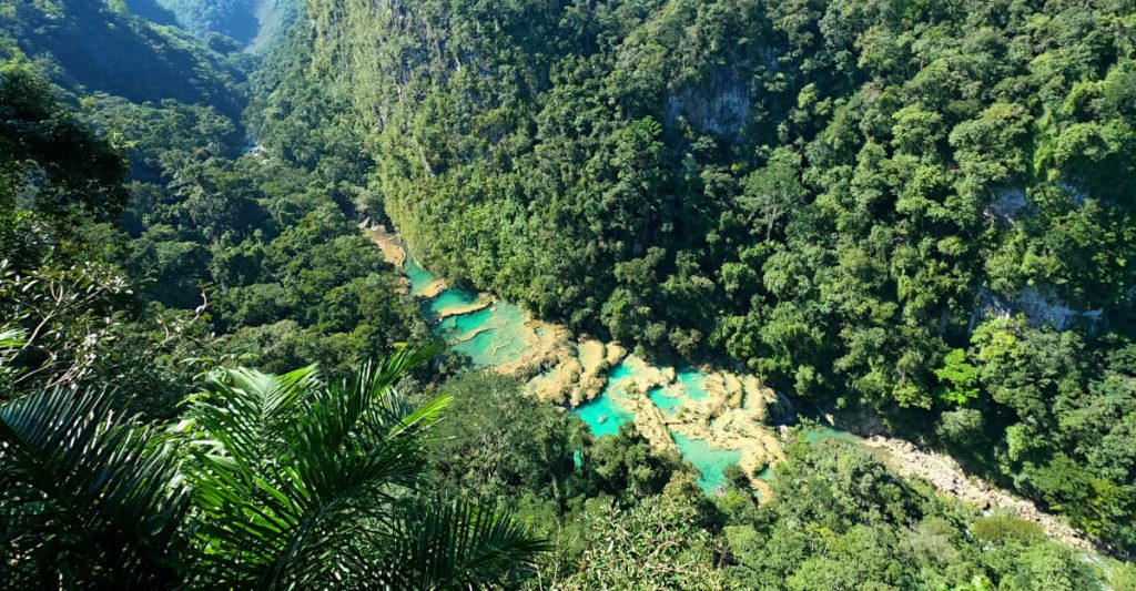 A panoramic view of Semuc Champey from the highest viewpoint looking over the pools