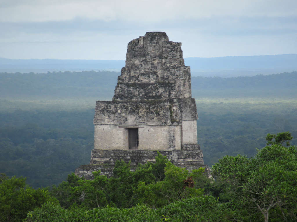 The ruins of Tikal standing out against the dreary background and overcast sky