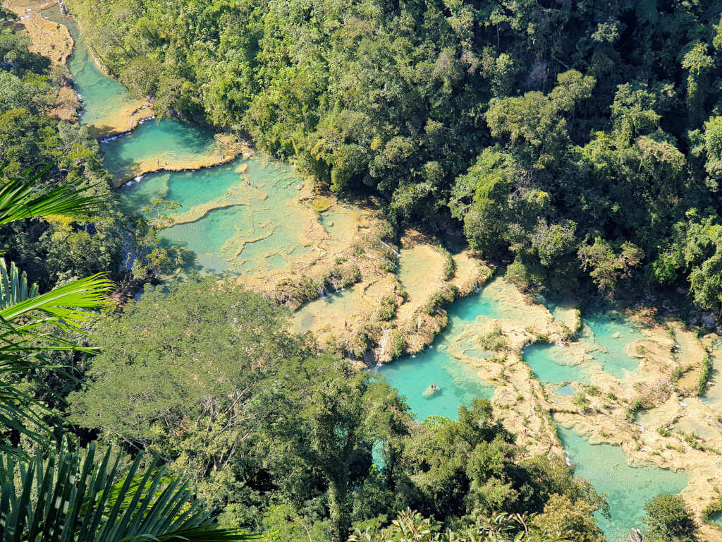 The brightly coloured pools at Semuc Champey surrounded by jungle