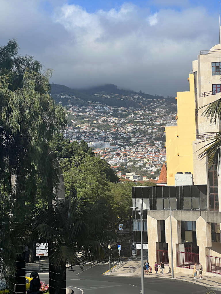 The city of Funchal climbs up the hillside to look over the Atlantic Ocean. It's a great base for your Madeira trip