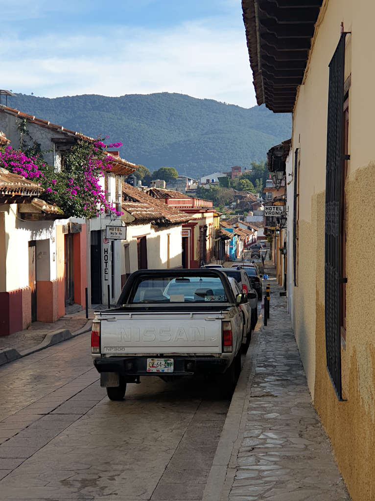 Flowers bloom from the rooftop of buildings on a narrow street in San Cristobal with the tree-covered mountain behind