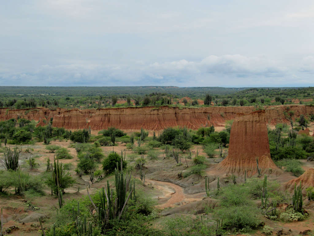 Striking soil formations that are bright orange in colour surrounded by greenery and cacti