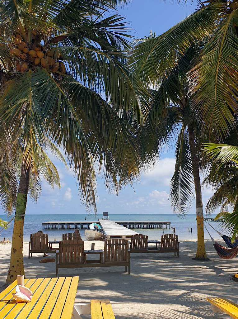 Looking through two palm trees towards the Caribbean Sea