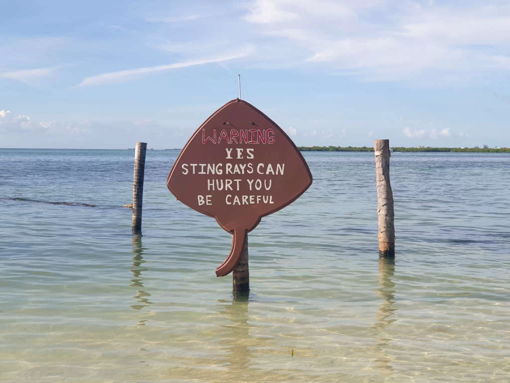 A stingray-shaped sign in the water that reads 'Warning, yes stingrays can hurt you, be careful'