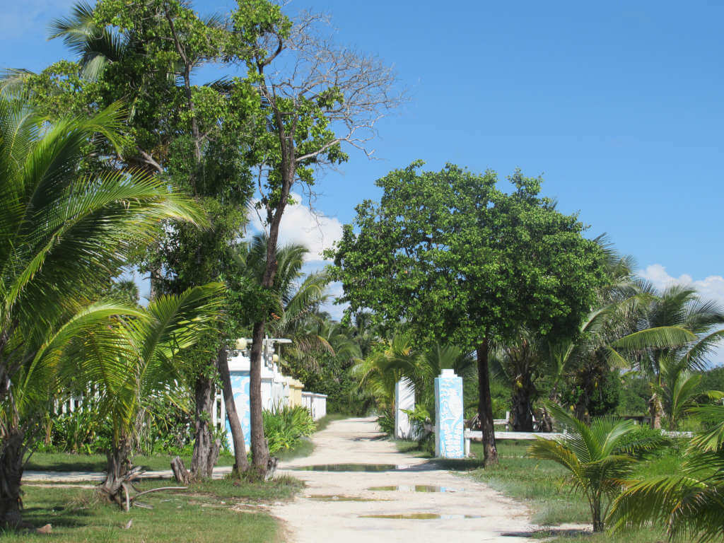 A sandy path through the trees in Belize