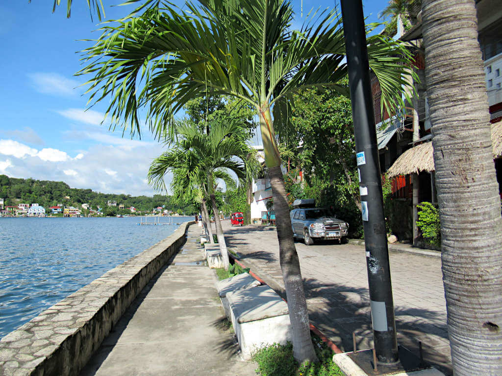 Looking along the shore of Isla Flores under the cover of a blue sky and palm trees