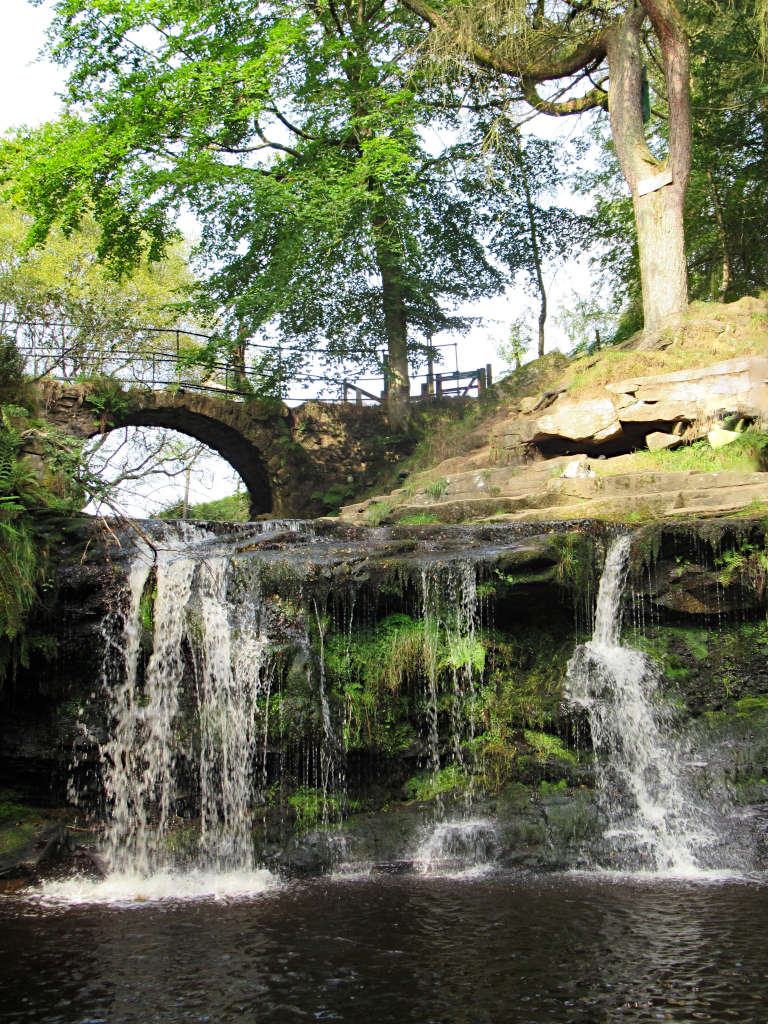 Lumb Hole Falls under the cover of leafy trees in summer