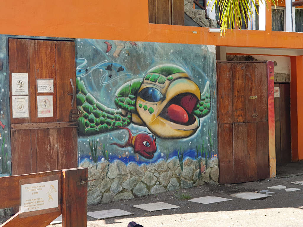 A painting of a turtle and fish on the side of Driftwood surfer hostel