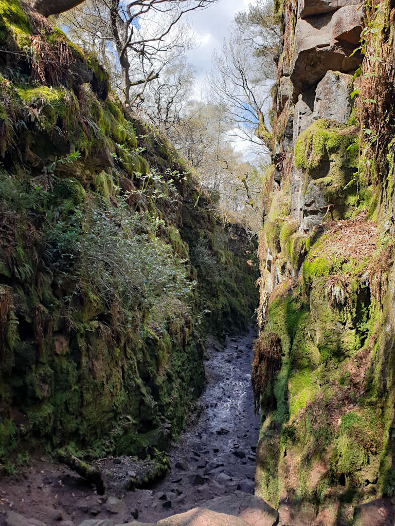 Looking through the narrow chasm with its moss-covered walls and wet muddy floor