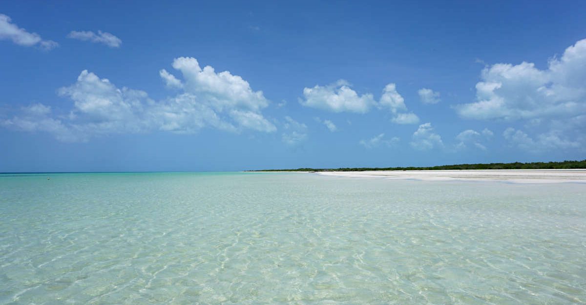 Valladolid to Holbox (2024 Transport Options)