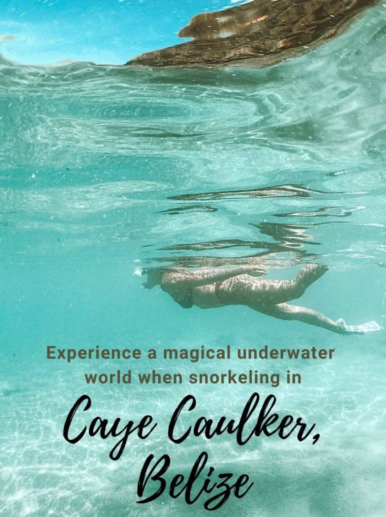 Experience a magical underwater world when snorkeling in Caye Caulker Belize. Swim with sharks, stingrays, sea turtles, fish and more!
